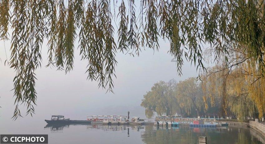 甘肃“小花椒”走进东北大学,冬日雪暖阳,有一种欢乐叫沈阳