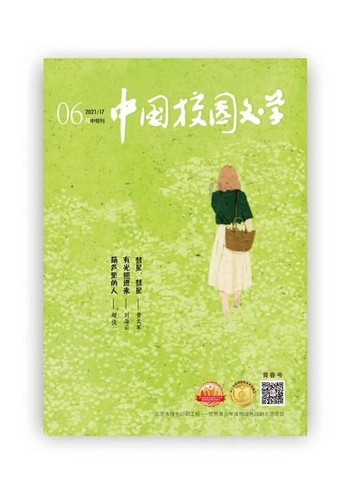 遗落的盒子