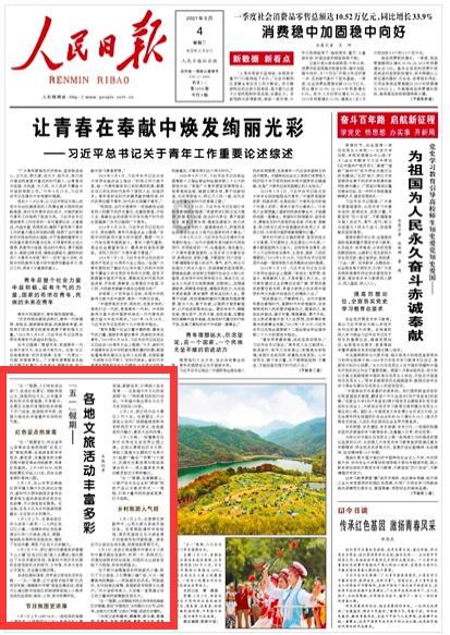 奥利维亚收养猫
